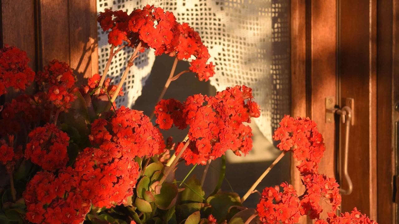 Anemos And Almyra Apartman Kíni Kültér fotó